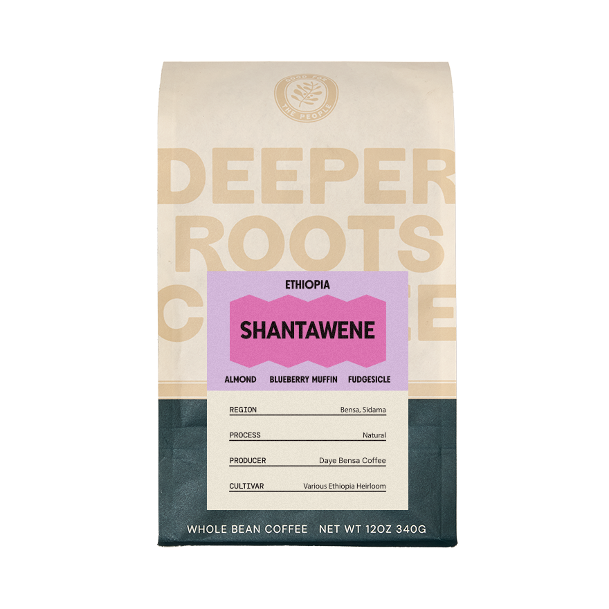 Ethiopia Shantawene 12 oz Single Origin Specialty Coffee