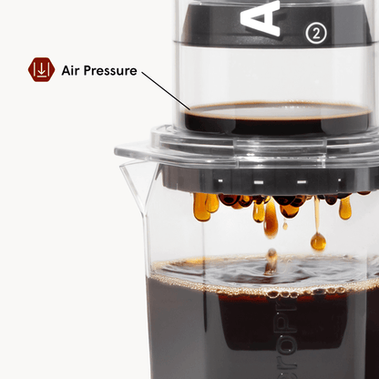 Traveler’s Bundle - Clear XL Coffee Brewing Bundle
