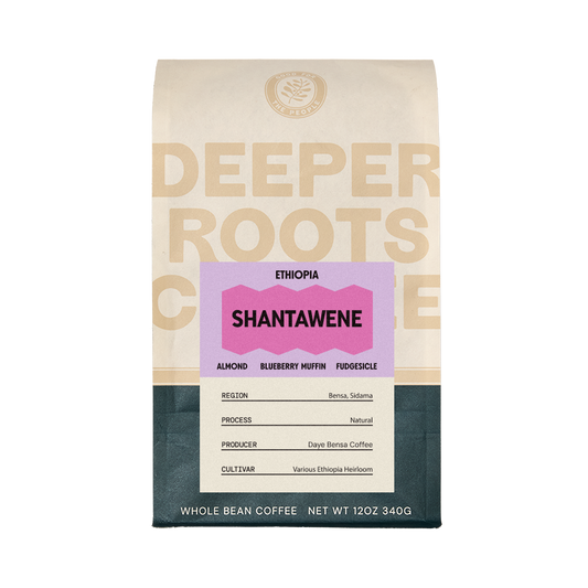 Ethiopia Shantawene 12 oz Single Origin Specialty Coffee
