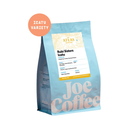 Rubi Sisters Icatu 12 oz Single Origin Specialty Coffee